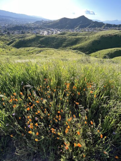Skyline Ranch Walking Trail - Santa Clarita, CA