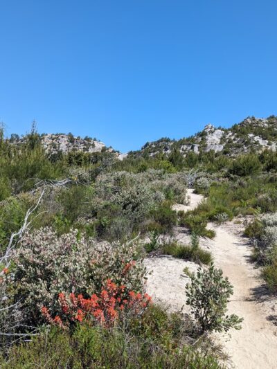 Bonny Doon Ecological Reserve - Santa Cruz, CA