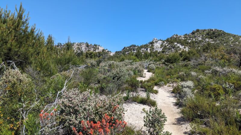 Bonny Doon Ecological Reserve - Santa Cruz, CA