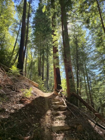 Bonny Doon Ecological Reserve - Santa Cruz, CA