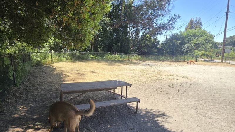Branciforte Dog Park - Santa Cruz, CA