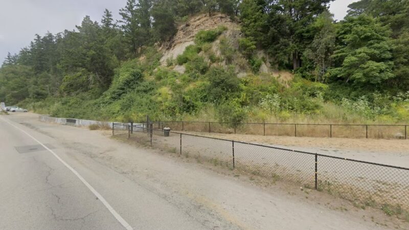 Branciforte Dog Park - Santa Cruz, CA