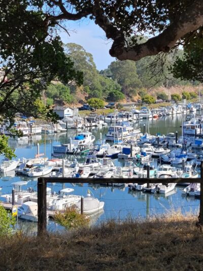 Frederick Street Park - Santa Cruz, CA
