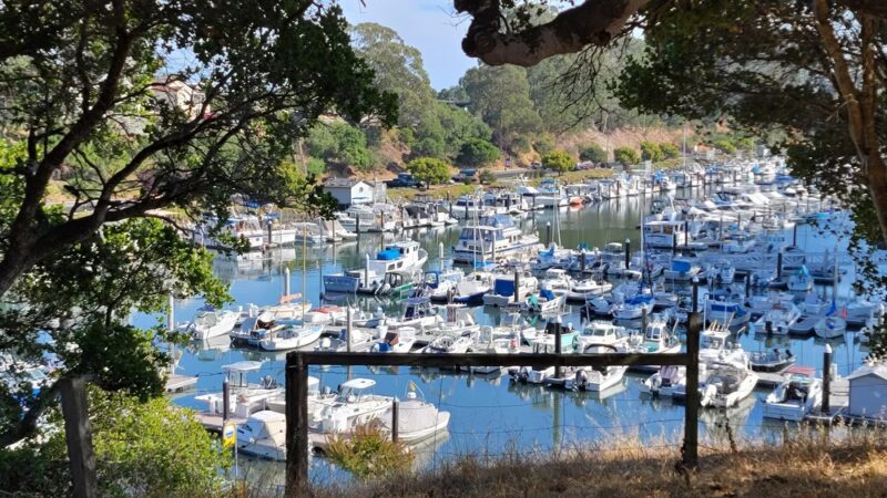 Frederick Street Park - Santa Cruz, CA