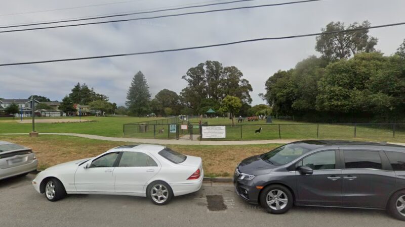 Fredrick St Dog Park - Santa Cruz, CA