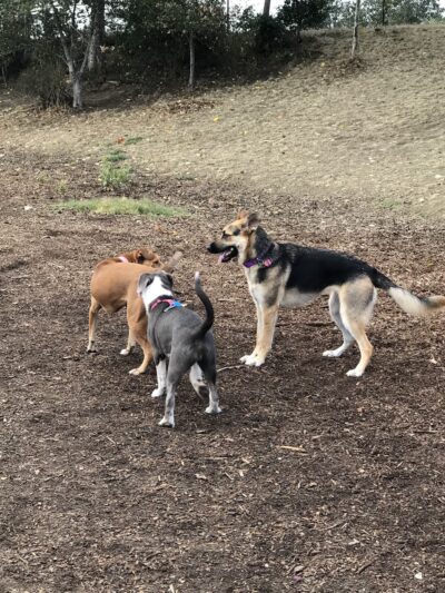 Mimi De Marta Park - Santa Cruz, CA