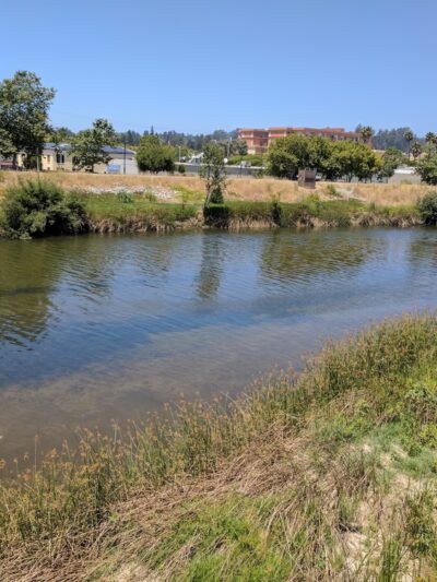 Mimi De Marta Park - Santa Cruz, CA