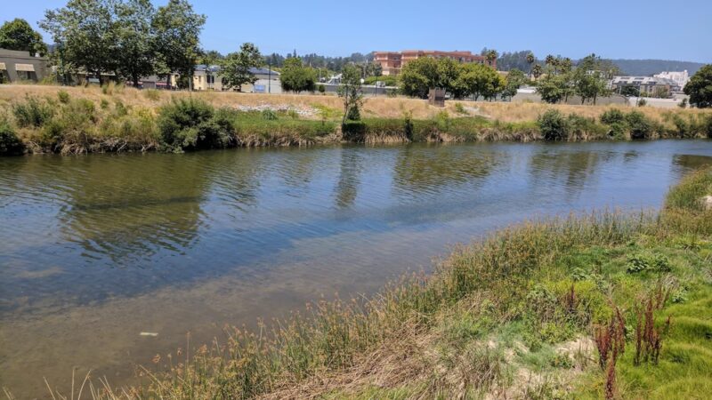 Mimi De Marta Park - Santa Cruz, CA
