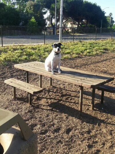 Mimi De Marta Park - Santa Cruz, CA