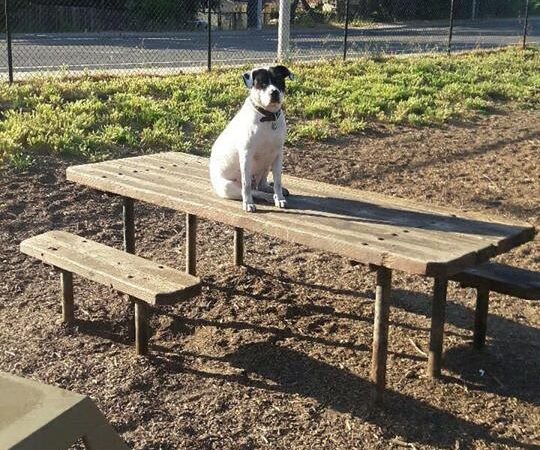 Mimi De Marta Park - Santa Cruz, CA