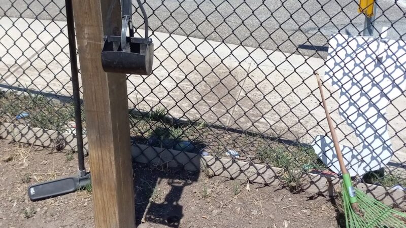 Pacheco Dog Park - Santa Cruz, CA