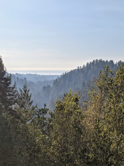 Pipeline Trail Overlook - Santa Cruz, CA