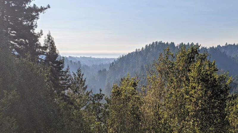 Pipeline Trail Overlook - Santa Cruz, CA