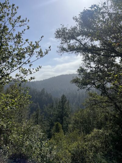 Pipeline Trail Overlook - Santa Cruz, CA