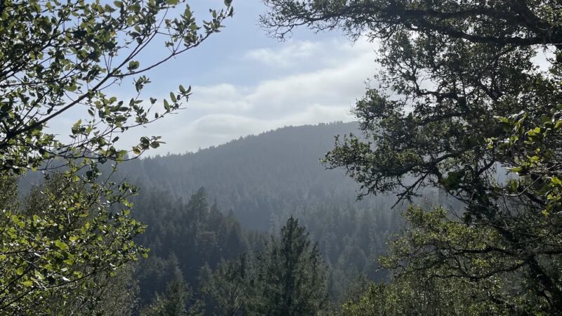 Pipeline Trail Overlook - Santa Cruz, CA