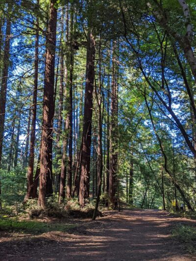 Santa Cruz Rincon Trail Trailhead - Santa Cruz, CA