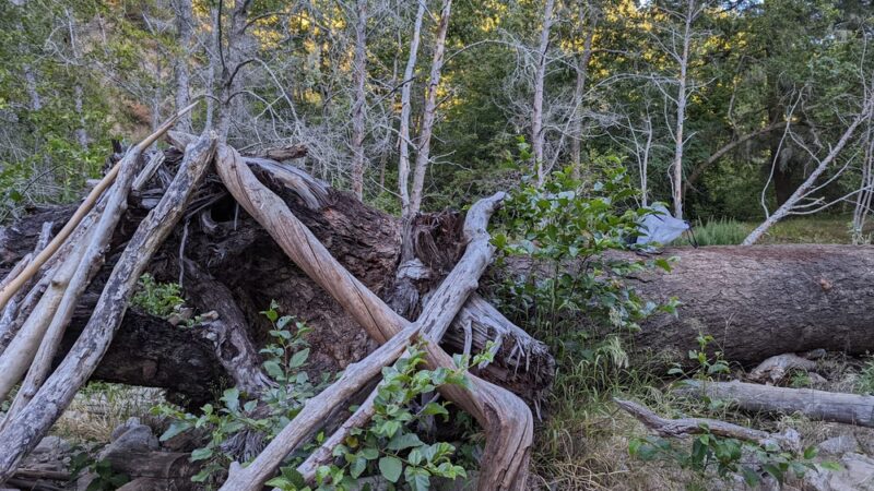 Santa Cruz Rincon Trail Trailhead - Santa Cruz, CA