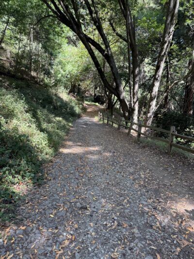 Spring Box Trailhead - Santa Cruz, CA
