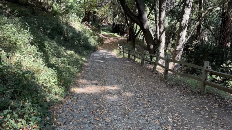 Spring Box Trailhead - Santa Cruz, CA