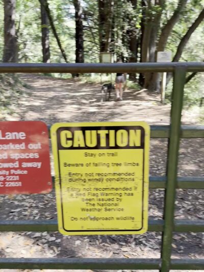 Spring Box Trailhead - Santa Cruz, CA