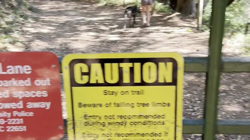 Spring Box Trailhead - Santa Cruz, CA