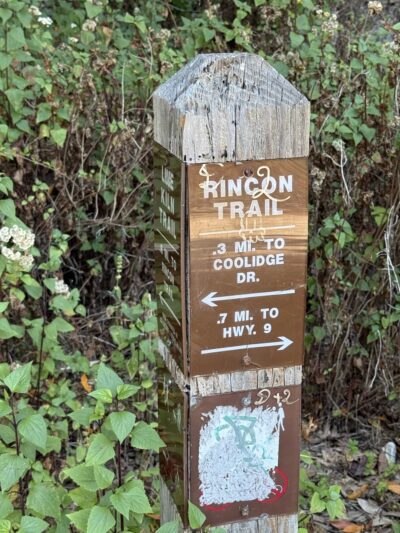 Spring Box Trailhead - Santa Cruz, CA