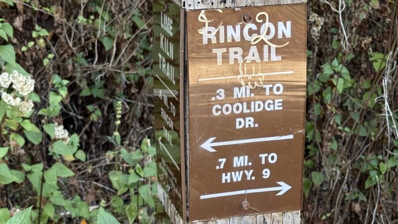 Spring Box Trailhead - Santa Cruz, CA