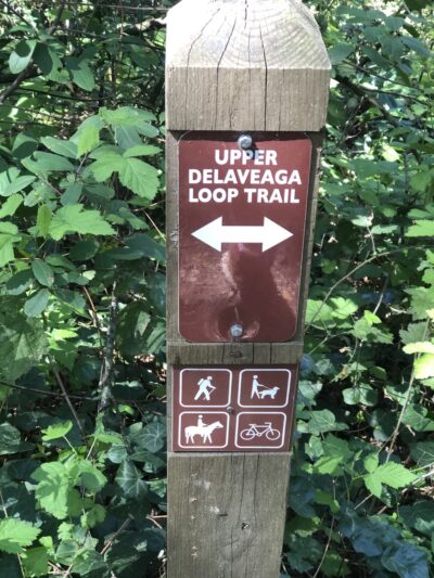 Upper DeLaveaga Loop Trailhead - Santa Cruz, CA