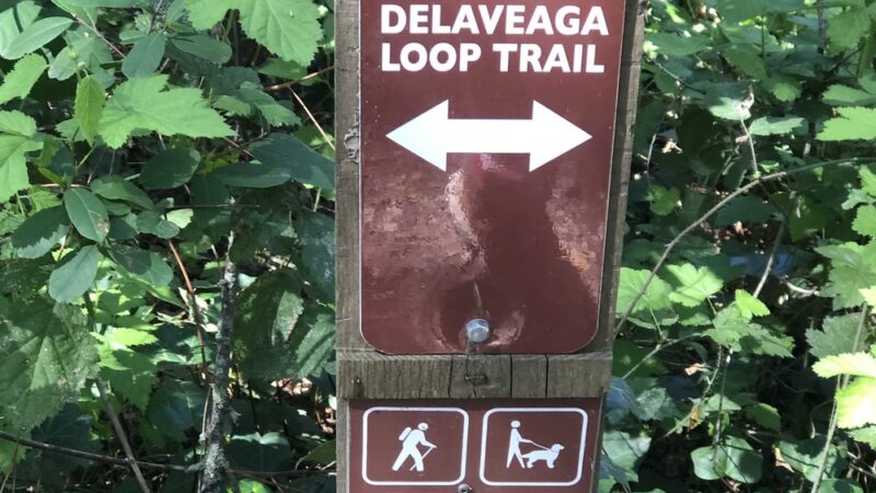 Upper DeLaveaga Loop Trailhead - Santa Cruz, CA