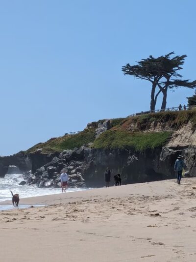 West Cliff Dog Park - Santa Cruz, CA