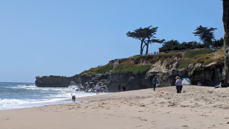 West Cliff Dog Park - Santa Cruz, CA