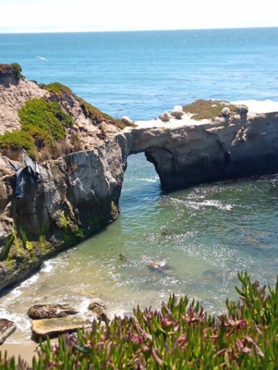 West Cliff Dog Park - Santa Cruz, CA