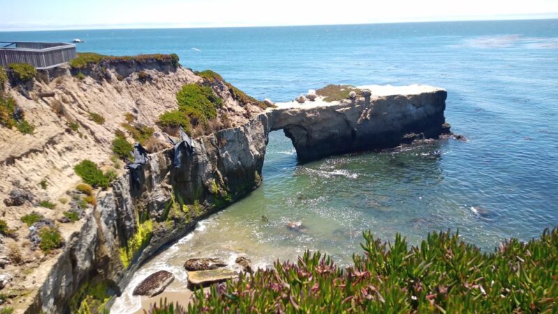 West Cliff Dog Park - Santa Cruz, CA
