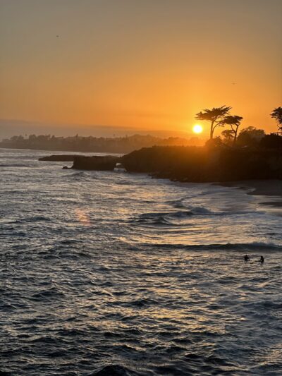 West Cliff Dog Park - Santa Cruz, CA