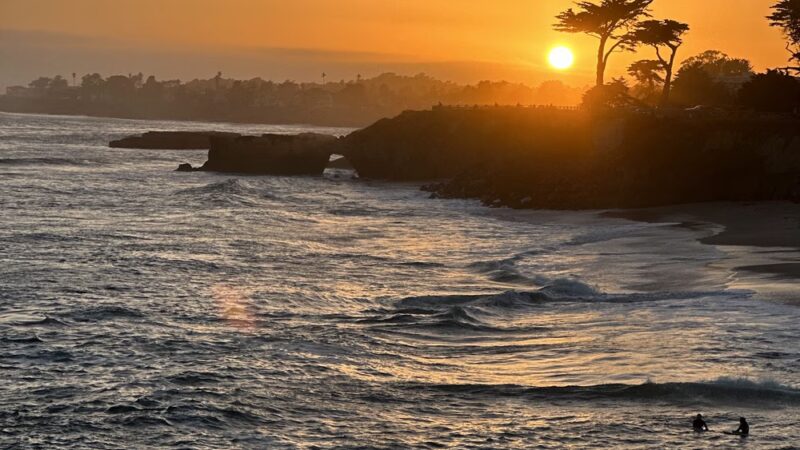 West Cliff Dog Park - Santa Cruz, CA
