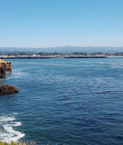 West Cliff Dog Park - Santa Cruz, CA