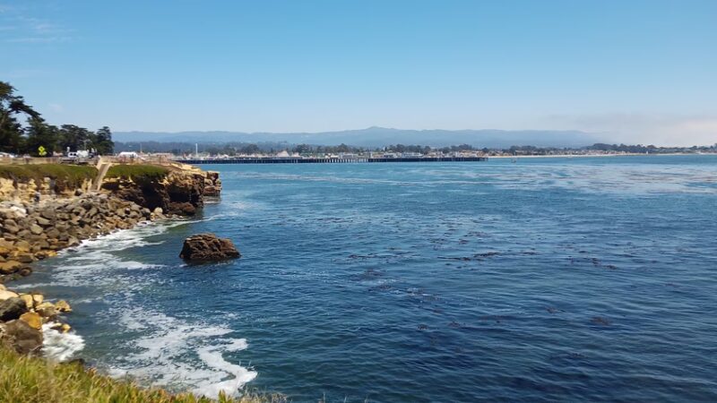 West Cliff Dog Park - Santa Cruz, CA