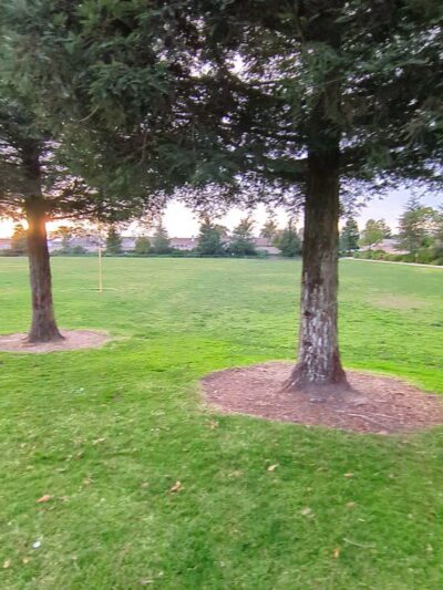Edwards Park - Santa Maria, CA