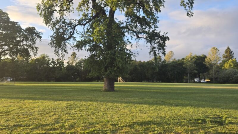 City of Santa Rosa - Steele Lane Park - Santa Rosa, CA