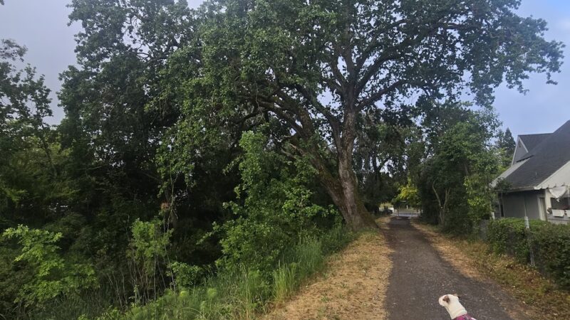 City of Santa Rosa - Steele Lane Park - Santa Rosa, CA