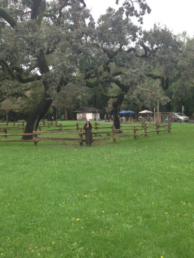 Doyle Community Park - Santa Rosa, CA