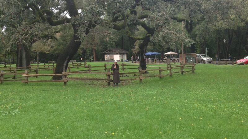 Doyle Community Park - Santa Rosa, CA