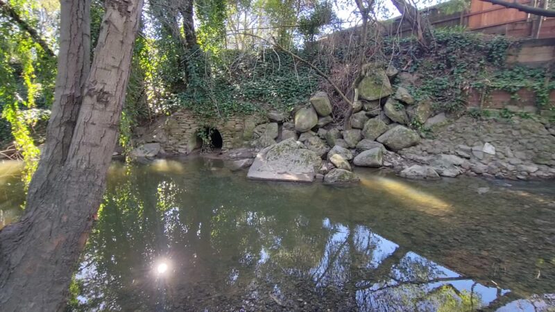 Doyle Community Park - Santa Rosa, CA