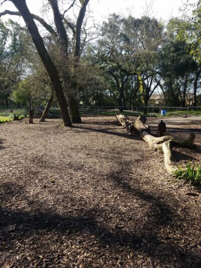 Doyle Community Park - Santa Rosa, CA