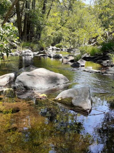 Flat Rock Park - Santa Rosa, CA