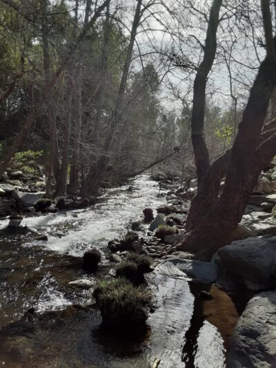 Flat Rock Park - Santa Rosa, CA
