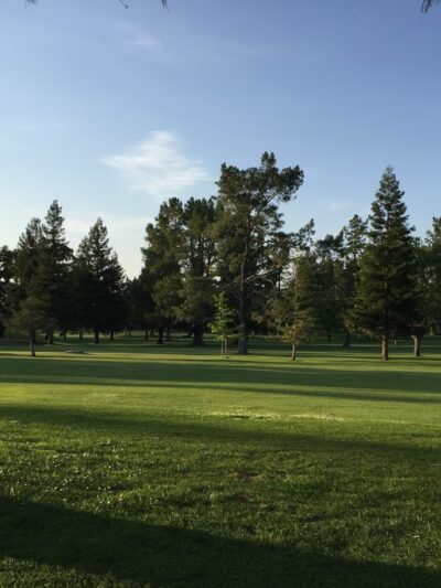 Galvin Community Park - Santa Rosa, CA