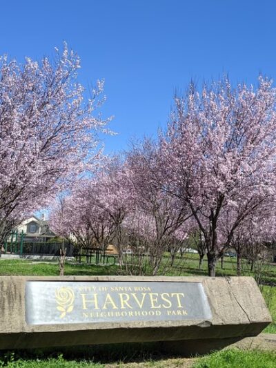Harvest Park - Santa Rosa, CA