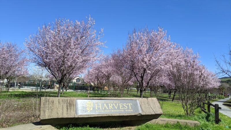 Harvest Park - Santa Rosa, CA