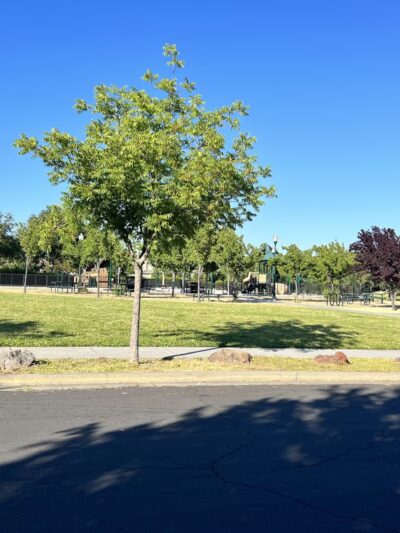 Harvest Park - Santa Rosa, CA